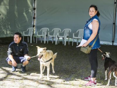 Últimos dias da ação clínica gratuita e vacinação de cães e gatos na Regional Santa Felicidade