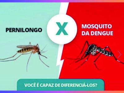 Utilidade Pública: Pernilongo x Mosquito da Dengue