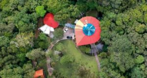 Prefeitura desmente venda de sua parte do Bosque da Copel