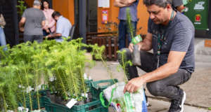 Prefeitura de Curitiba vai entregar 10 mil mudas de árvores na próxima semana. Saiba onde pegar a sua