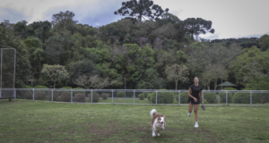 Playpet Espaço Amigo Bicho e parquinho infantil com piso emborrachado são as novas atrações do Parque Bacacheri
